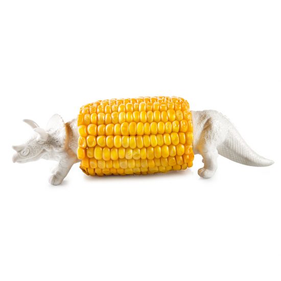 Corn Cob Holder - Rocko - Image 2